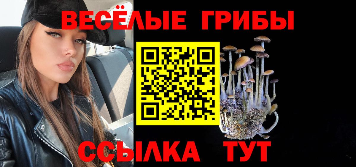 Большой Камень  Псилоцибиновые грибы Cubensis  Вход с VPN 