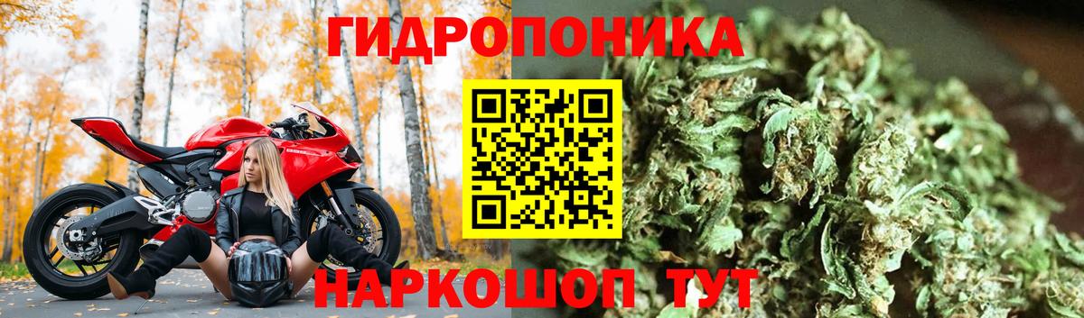 Большой Камень  Конопля конопля  Конопля MAZAR  Шишки марихуана OG Kush  Вход с VPN 